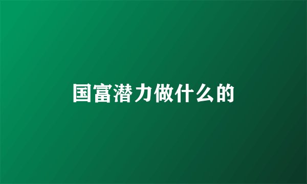 国富潜力做什么的