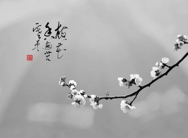 宝剑锋从磨砺出,梅花香自苦寒来。的作者是谁啊
