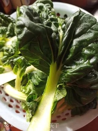 素炒塌菜