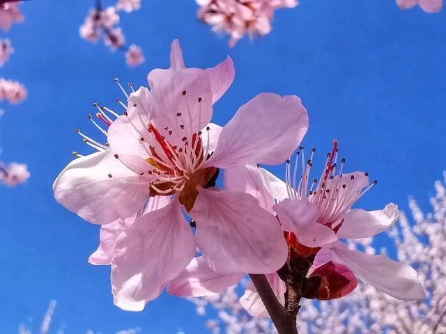 为什么糖水片往往在朋友圈有很高的点赞率,但却得不到摄影大咖们的认可?