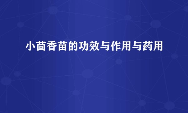 小茴香苗的功效与作用与药用