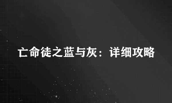 亡命徒之蓝与灰：详细攻略