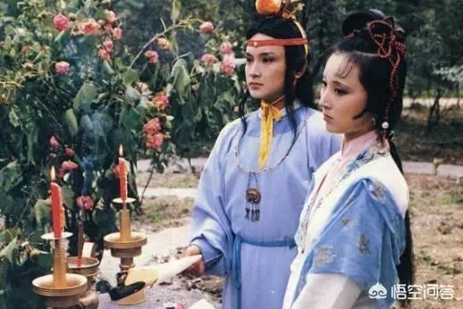 《蒋勋说红楼》大家觉得怎么样?