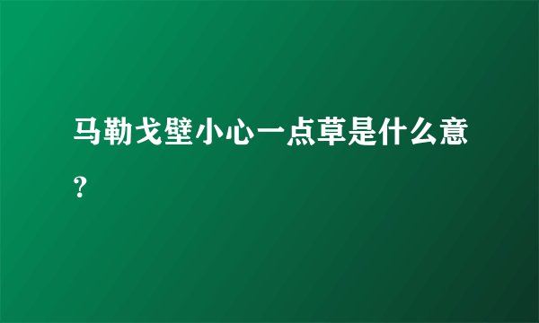 马勒戈壁小心一点草是什么意？