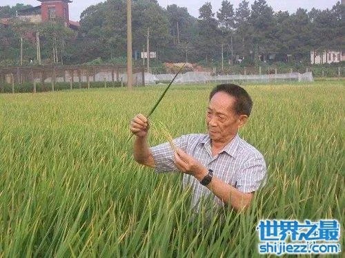 袁隆平身价多少亿?世界首富当之无愧!