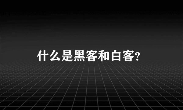什么是黑客和白客?