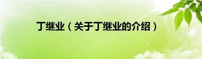 丁继业（关于丁继业的介绍）