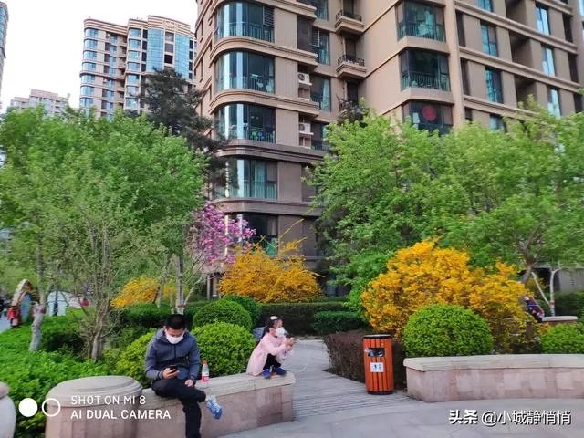你眼里的春天是什么样子的？