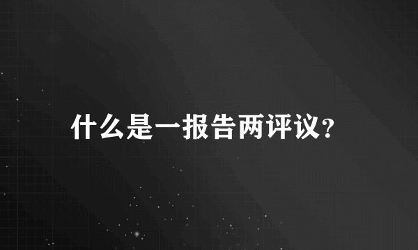 什么是一报告两评议？