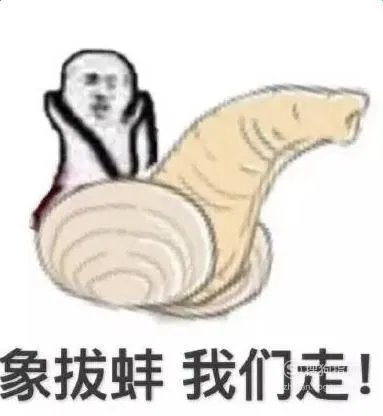 象拔蚌什么梗?