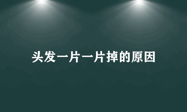 头发一片一片掉的原因