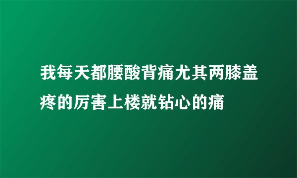 我每天都腰酸背痛尤其两膝盖疼的厉害上楼就钻心的痛
