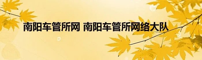 南阳车管所网 南阳车管所网络大队