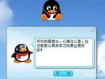 qq宠物论坛
