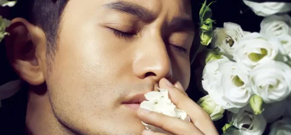 黄晓明离婚了吗?
