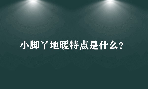 小脚丫地暖特点是什么？