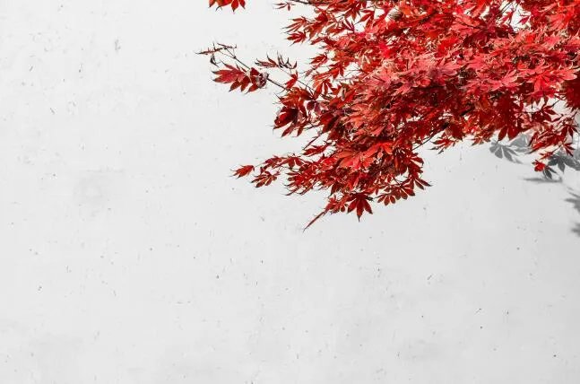 立秋2020图片大全 立秋时节图片唯美好看2020