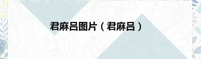 君麻吕图片(君麻吕)