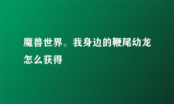 魔兽世界。我身边的鞭尾幼龙怎么获得