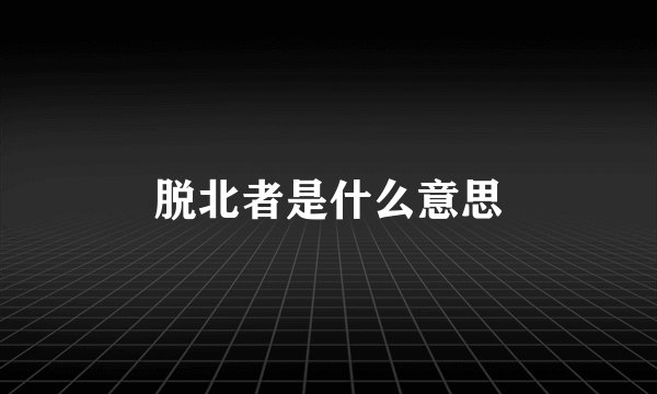 脱北者是什么意思