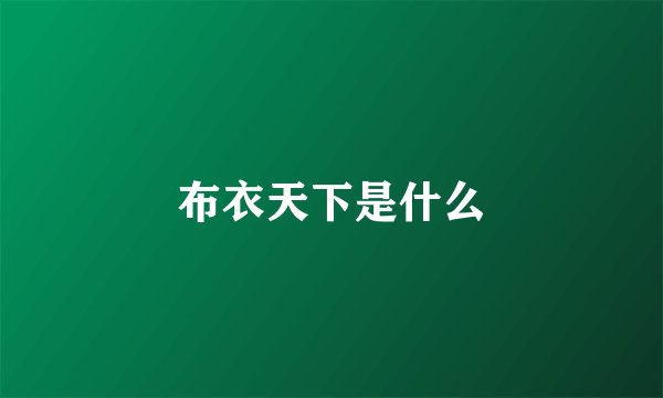 布衣天下是什么