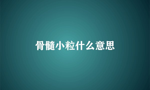 骨髓小粒什么意思