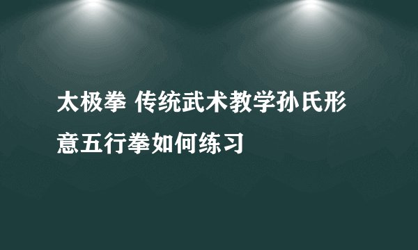 太极拳 传统武术教学孙氏形意五行拳如何练习
