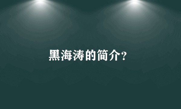 黑海涛的简介？