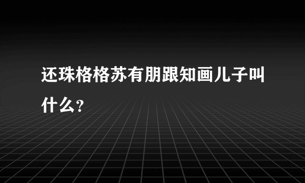 还珠格格苏有朋跟知画儿子叫什么？