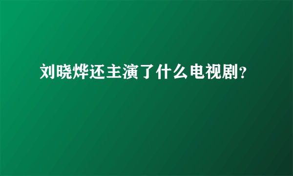 刘晓烨还主演了什么电视剧？