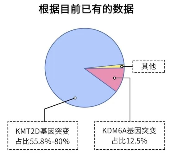 长得太漂亮也是病?歌舞伎面谱综合征,一种美得像洋娃娃的遗传病