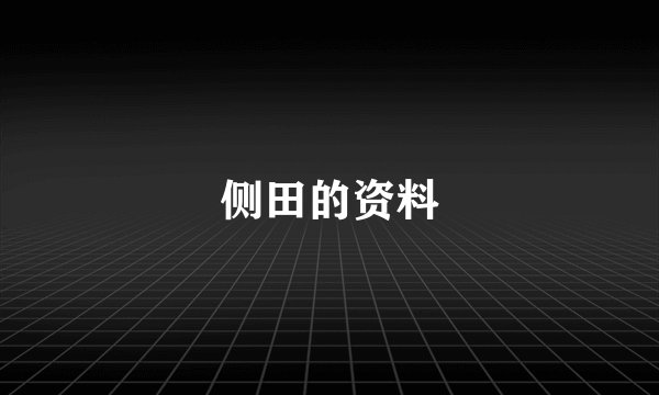侧田的资料
