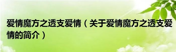 爱情魔方之透支爱情（关于爱情魔方之透支爱情的简介）