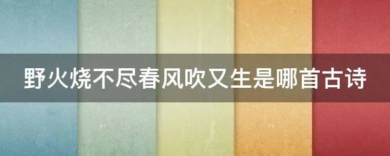 野火烧不尽春风吹又生是哪首古诗