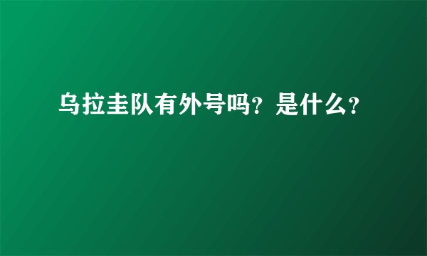 乌拉圭队有外号吗？是什么？