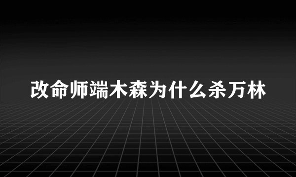 改命师端木森为什么杀万林