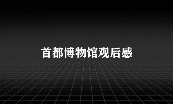 首都博物馆观后感