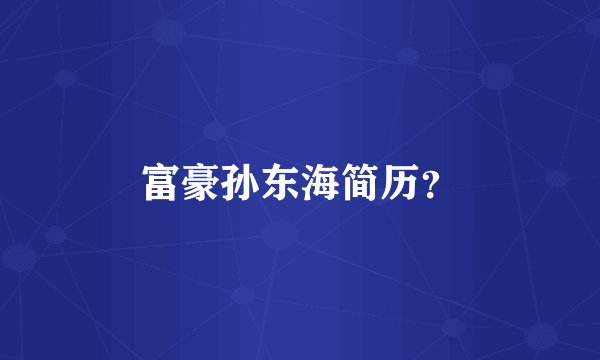 富豪孙东海简历？