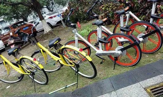 成都上百辆共享单车被活埋,是什么情况?