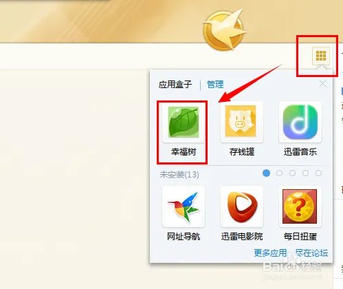 迅雷幸福树不见了怎么办