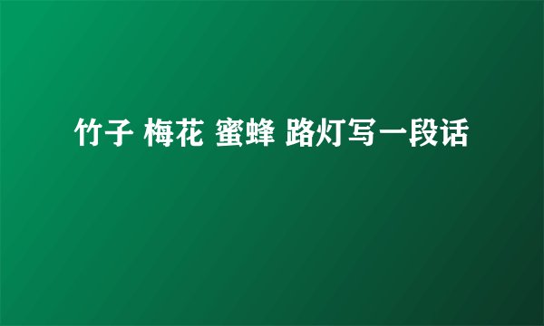 竹子 梅花 蜜蜂 路灯写一段话