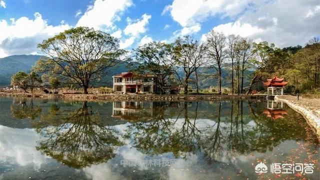福建省漳平是哪个市?