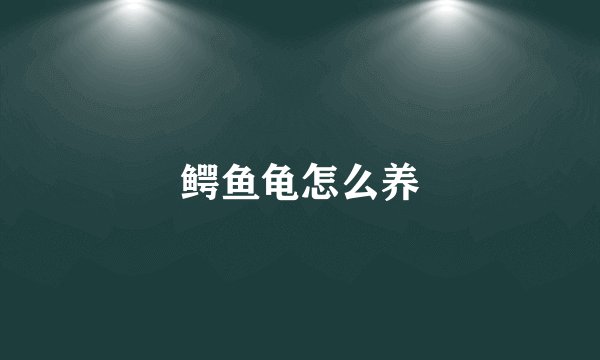 鳄鱼龟怎么养
