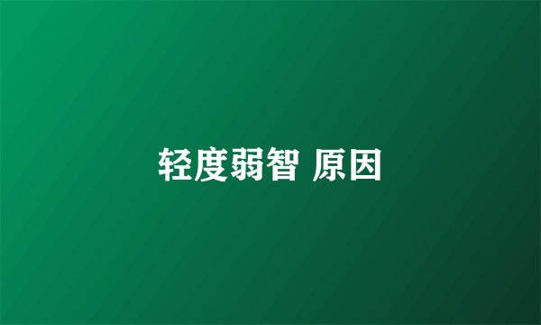 轻度弱智 原因