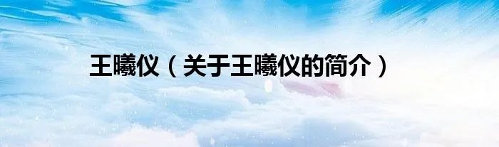 王曦仪（关于王曦仪的简介）