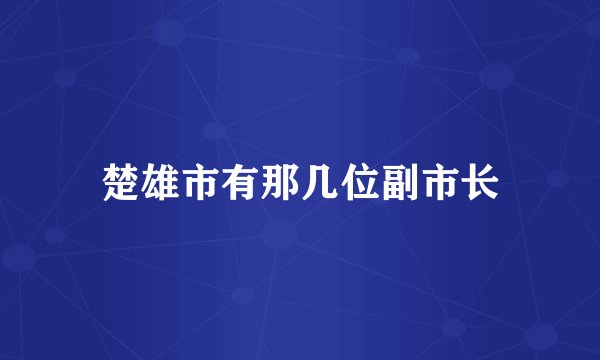 楚雄市有那几位副市长