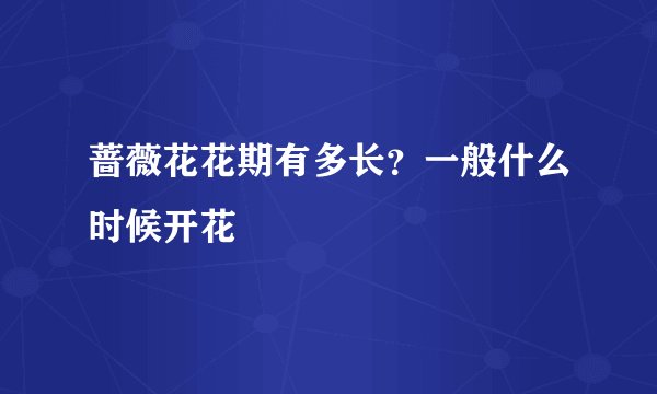 蔷薇花花期有多长？一般什么时候开花
