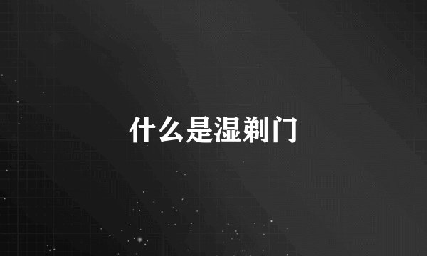 什么是湿剃门