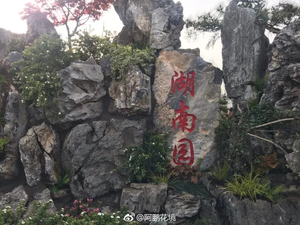 张家界style