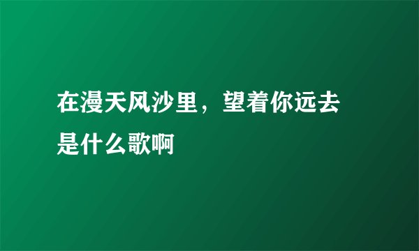 在漫天风沙里，望着你远去 是什么歌啊